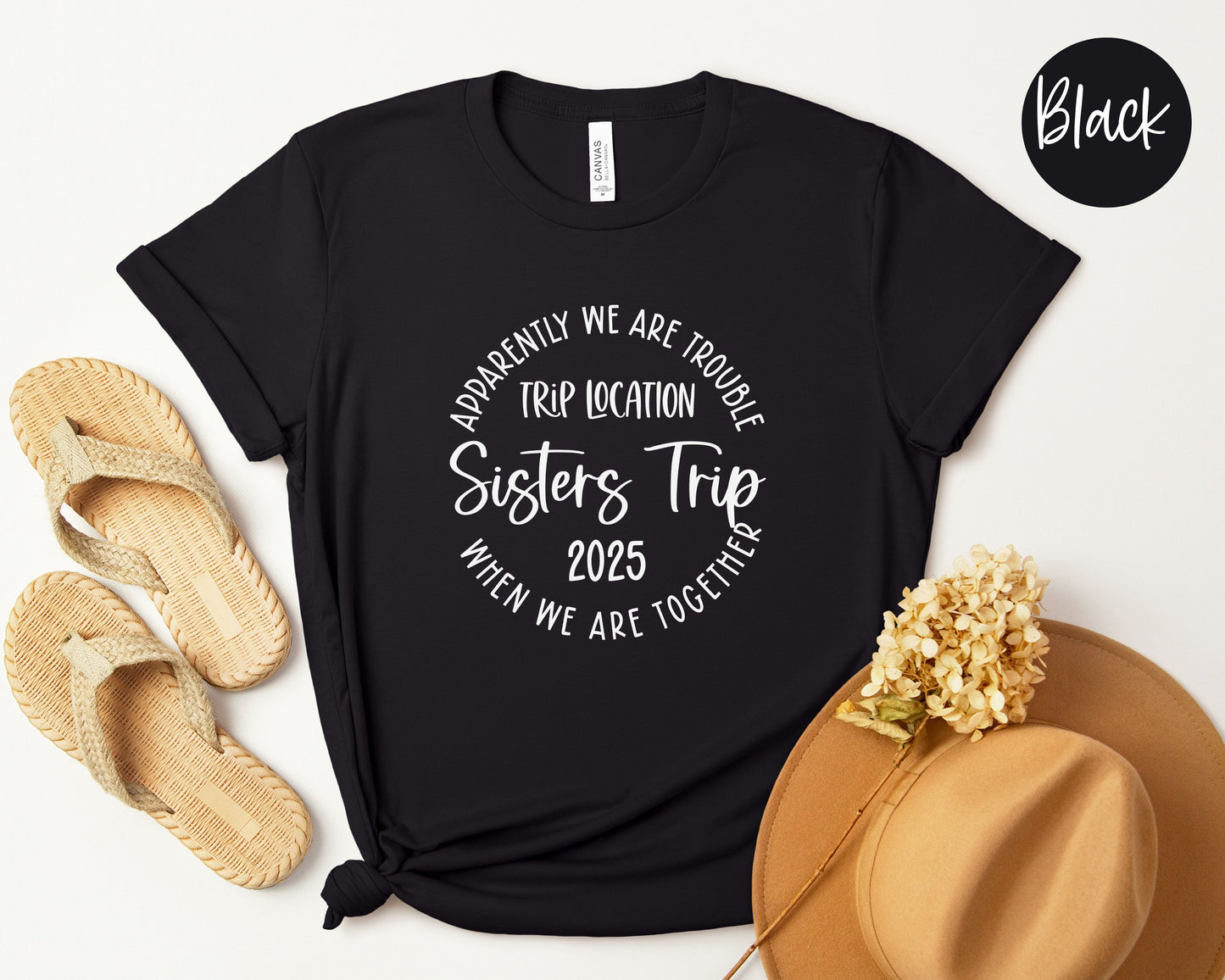 Apparently We Are Trouble When We Are Together Destination Sisters Trip 2025 Shirt