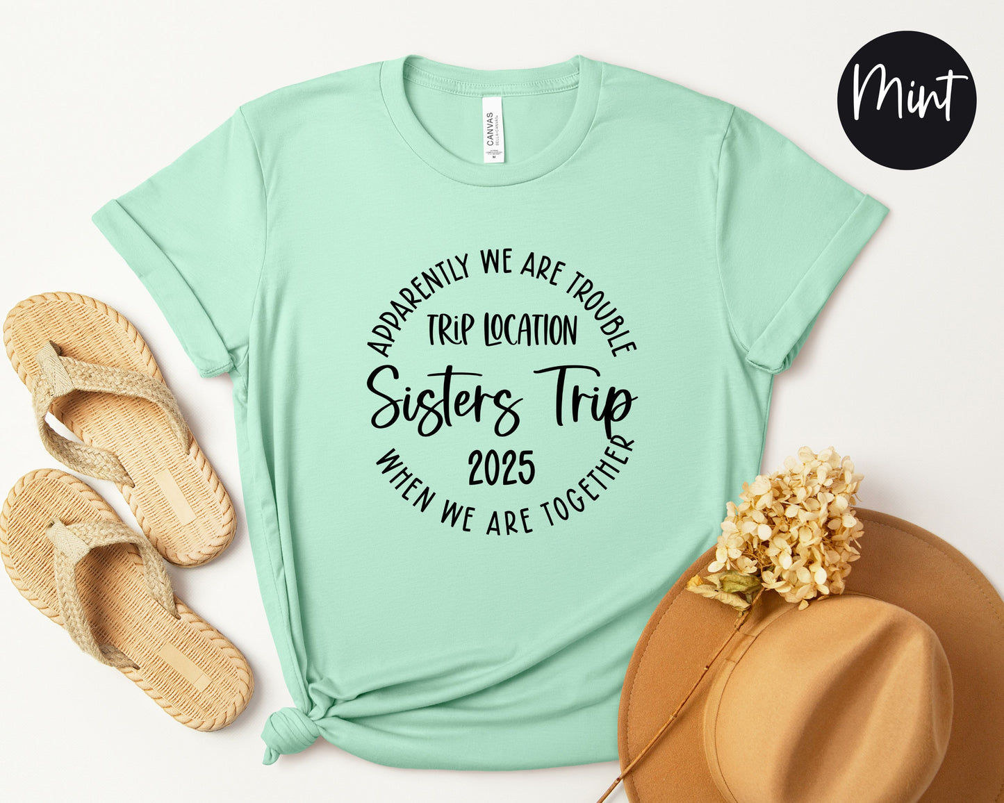 Apparently We Are Trouble When We Are Together Destination Sisters Trip 2025 Shirt