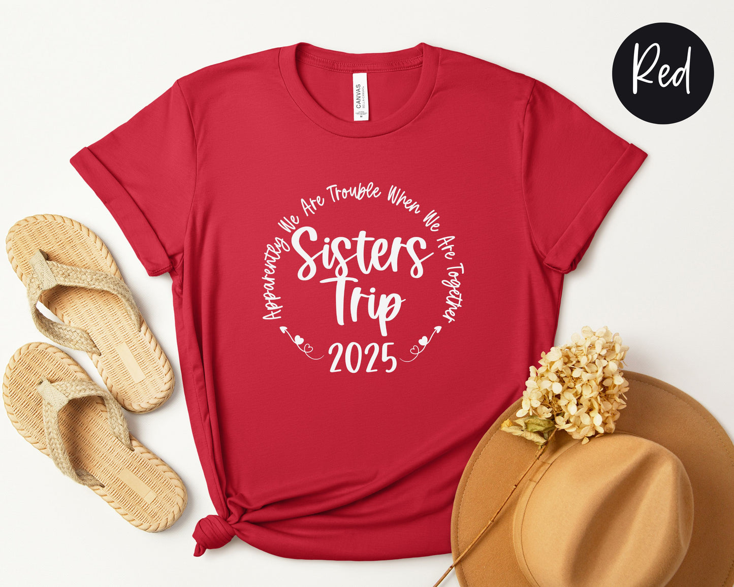 Apparently We Are Trouble When We Are Together 2025 Sisters Trip Shirt