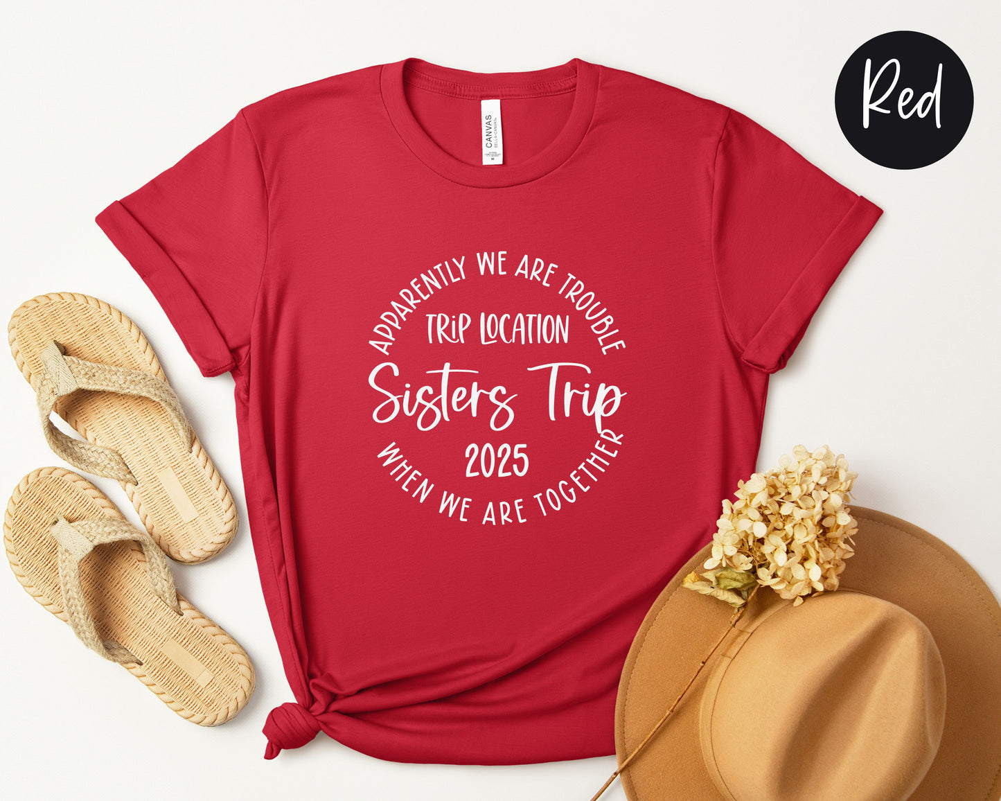 Apparently We Are Trouble When We Are Together Destination Sisters Trip 2025 Shirt