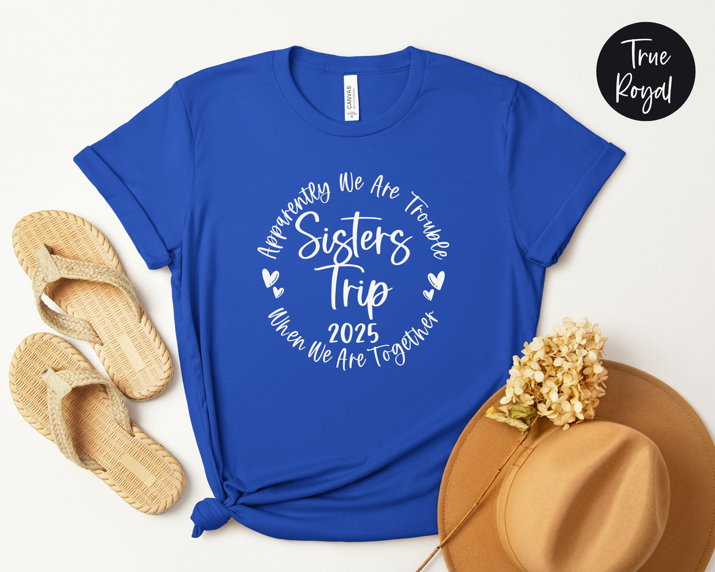 Apparently We Are Trouble When We Are Together Sisters Trip 2025 Shirt