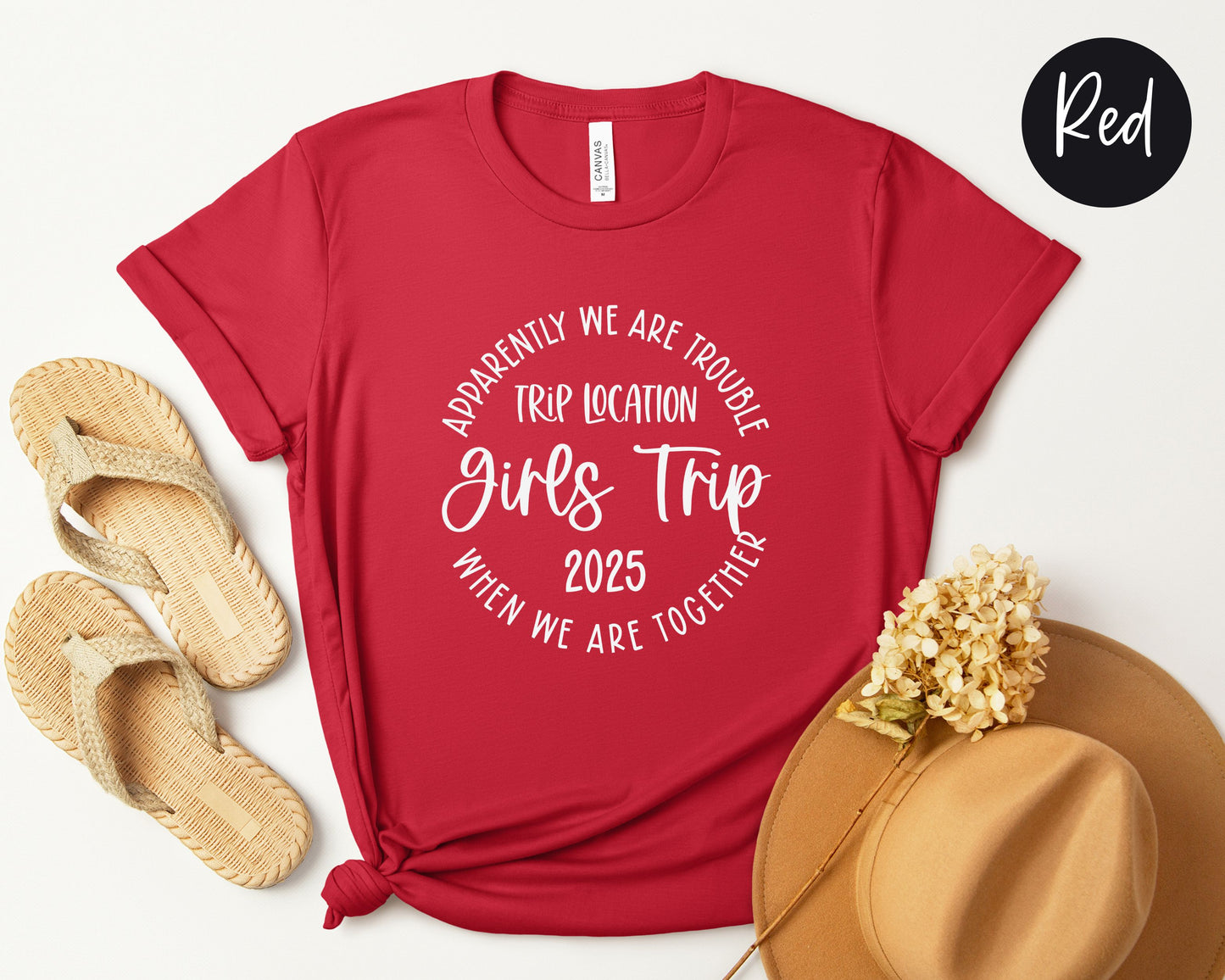 Apparently We Are Trouble When We Are Together Destination Girls Trip 2025 Shirt
